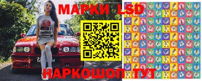 гашик Будённовск