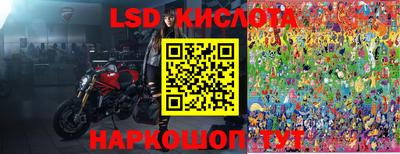 гашик Будённовск