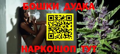 гашик Будённовск