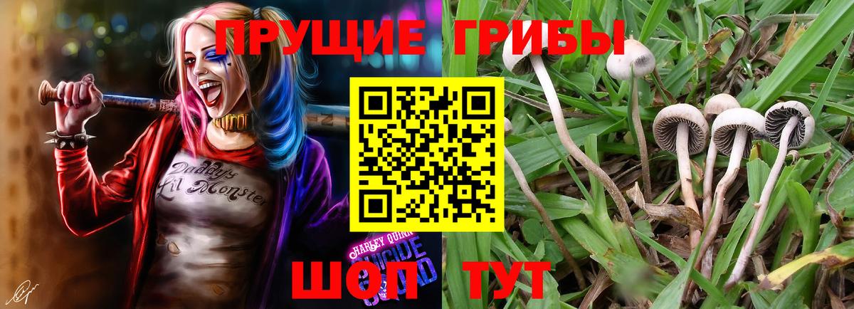 Галлюциногенные грибы ЛСД  Вход с VPN  Псилоцибиновые грибы мухоморы  Первоуральск 