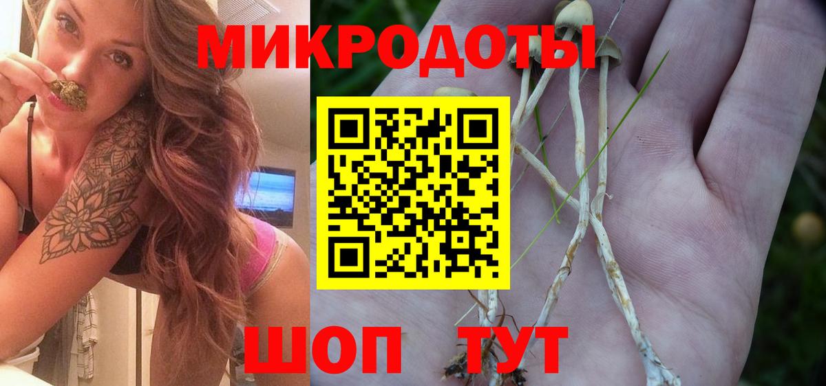 Псилоцибиновые грибы Psilocybe Первоуральск
